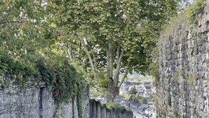A narrow stone pathway flanked by walls covered in greenery, leading to a town in the distance.