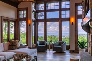 TV, fireplace, video games, books