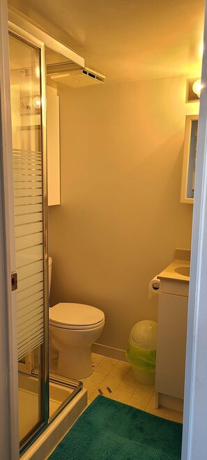 Ducha, secador de pelo, jabón y champú