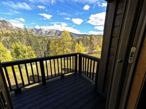 Eine Holzterrasse mit Metallgeländer, mit Blick auf eine gebirgige Landschaft im Herbstlaub.