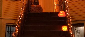 <br> Beautiful Jersey City Mid-Century Apt near NYC