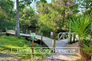 Located within a lush environment, James E. Grey Preserve offers scenic views.