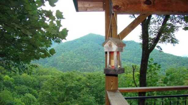 Une terrasse en bois avec une rambarde en métal, donnant sur une montagne boisée.