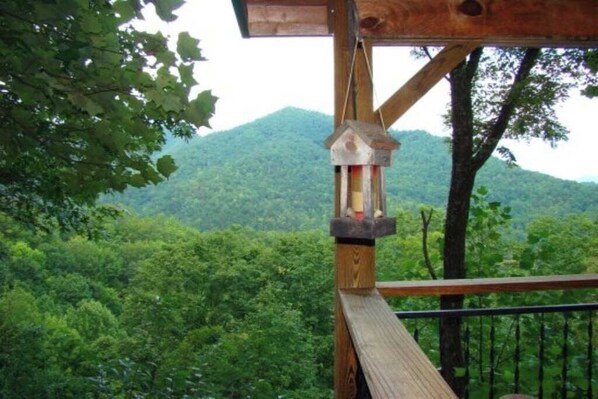 Property grounds - Bear Hug Cabin - Perfect Mountain Retreat for Two! (Bryson City)