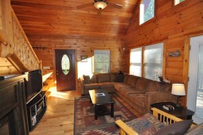 Smart TV, fireplace, DVD player, video library