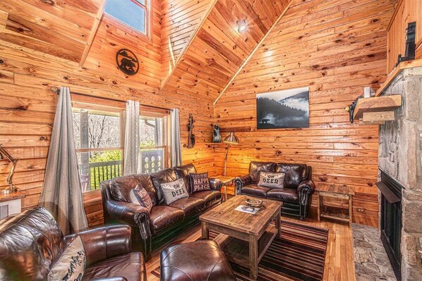 Smart TV, fireplace, DVD player, video library