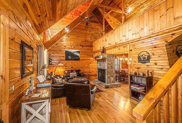 Smart TV, fireplace, DVD player, video library