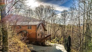 Une cabane en bois dotée d’un porche, entourée d’arbres et bordée d’un chemin pavé.