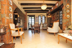 TV connectée, cheminée, chaîne hi-fi