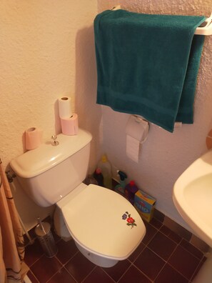 Regadera, secadora de cabello, toallas, jabón 