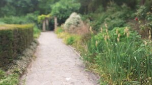 Un chemin de pierres bordé de haies soigneusement taillées et d’herbes hautes.