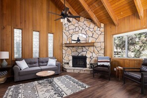 Een televisie, een open haard, boeken en een stereo