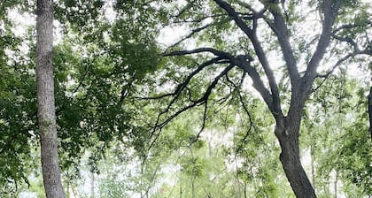 Peaceful Creekside Cottage - quiet, clean and lots of amenities!