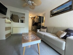 تلفزيون، كُتُب، مكتبة موسيقى