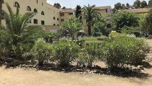 A building with multiple balconies and a courtyard with various plants and a palm tree. - Studio Calvi (Corsica) 250 meters from the beach, WiFi (Calvi)