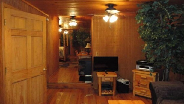 A wooden interior with a television, wooden cabinets, and a plant. - Guest House with acreage to explore. (Tennyson)