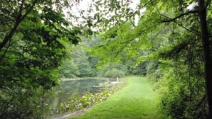 A natural landscape with a grassy path leading to a body of water surrounded by dense foliage. - Guest House with acreage to explore. (Tennyson)