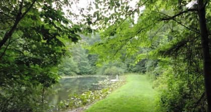 Guest House with acreage to explore.
