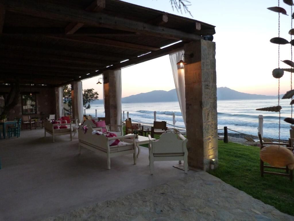 テラス / パティオ