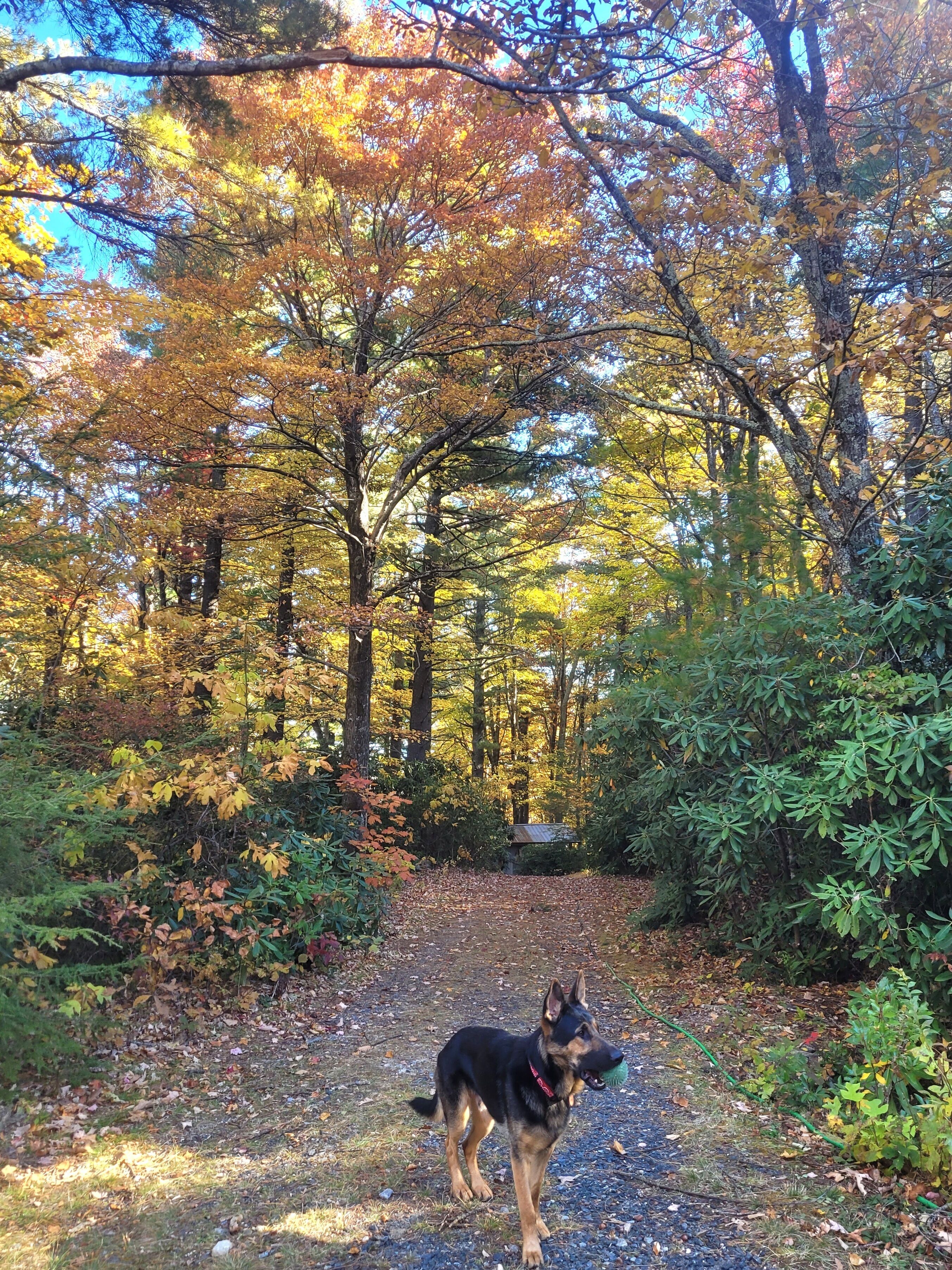 Overnattingsstedets uteområder