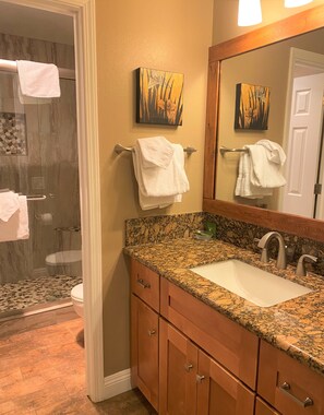 Shower, hair dryer