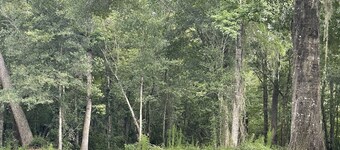 Nature's Beauty on the POND