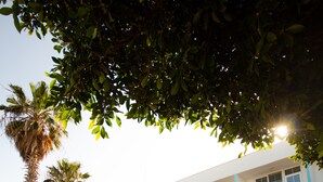 Exterior - MOJO TEL BEACH (Erdemli)