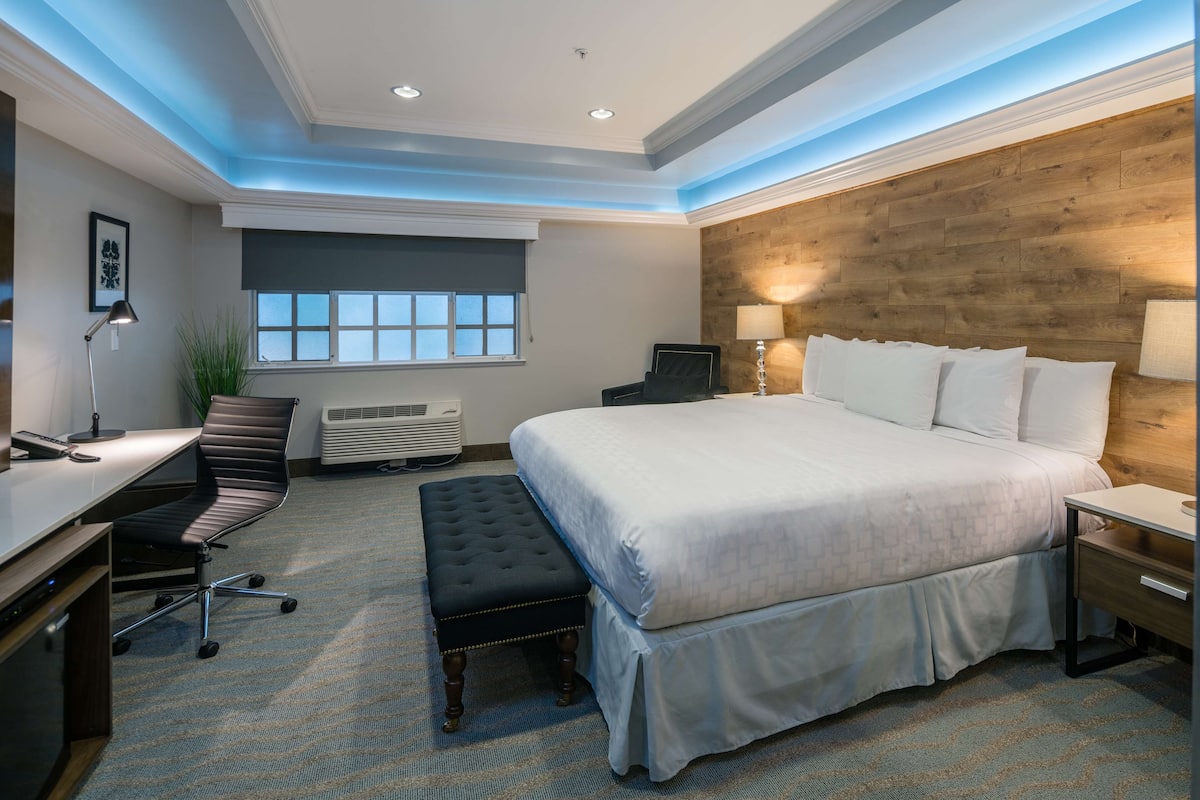 A hotel room with a large bed, a desk, a chair, a bench, and a wooden accent wall.