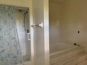 Douche, baignoire à remous, séchoir à cheveux, serviettes fournies