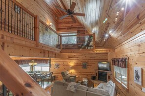 TV, fireplace, DVD player, books
