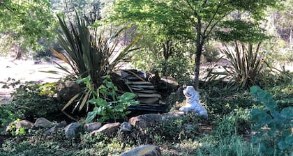 Hummingbird House - Scenic Peaceful Foothills Getaway only minutes from downtown