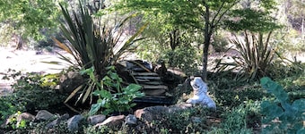 Hummingbird House - Scenic Peaceful Foothills Getaway only minutes from downtown