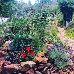 Overnatningsstedets område