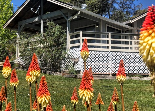 Hummingbird House - Scenic Peaceful Foothills Getaway only minutes from downtown