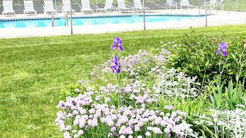 A swimming pool with a chain-link fence, surrounded by a grassy area with purple flowers and some white flowers.