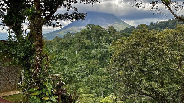 Un paysage verdoyant et luxuriant, avec une montagne en arrière-plan.