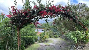Un sentier de jardin mène à une maison au toit rouge, entourée d’une végétation luxuriante et de plantes en fleurs.