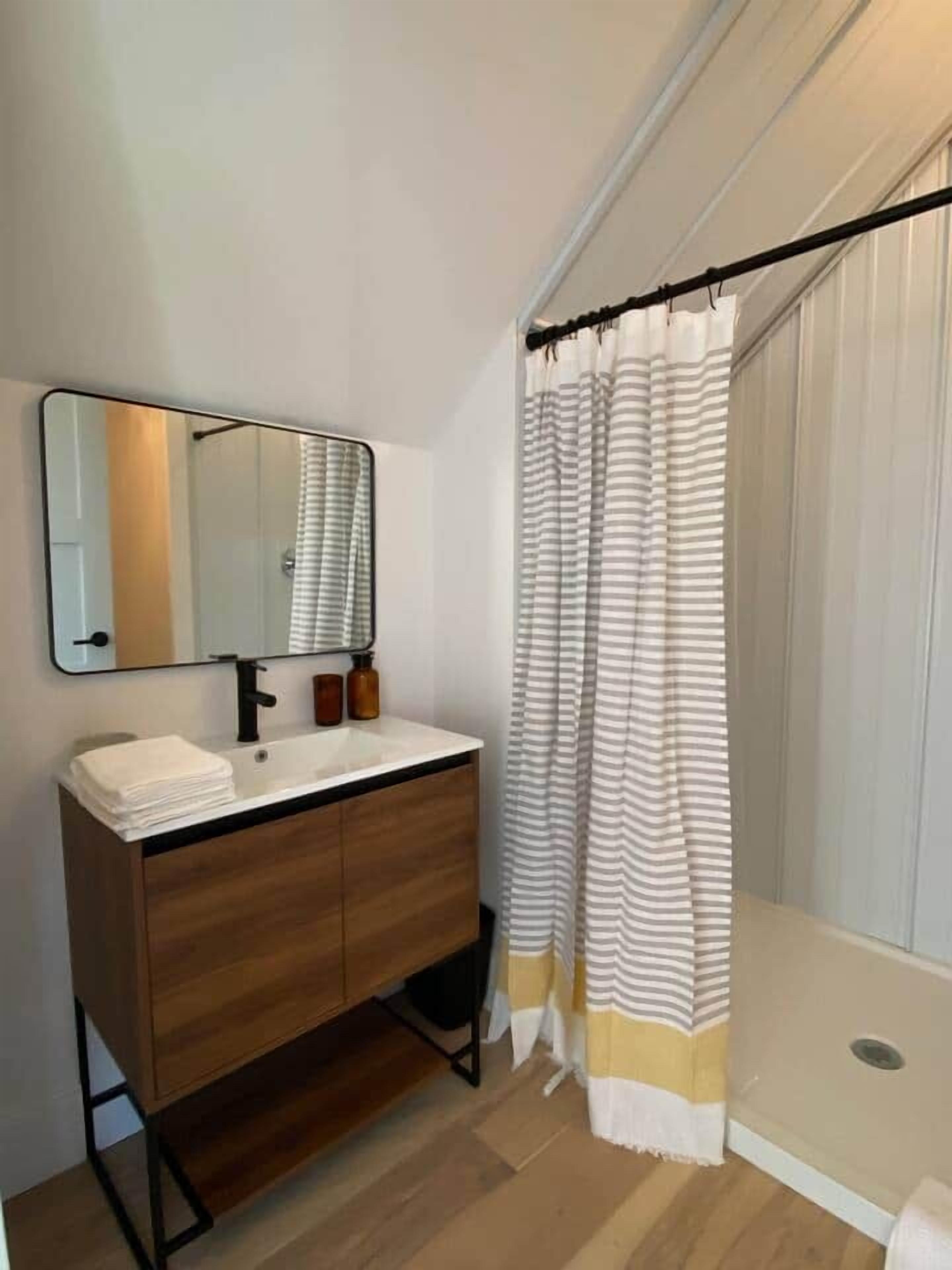 Combined shower/tub, hair dryer, soap, toilet paper
