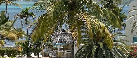 室外游泳池,恒温泳池