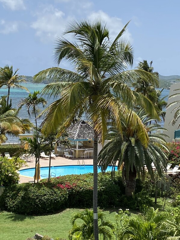 Relax by the pool surrounded by lush greenery and palm trees, with a serene ocean view.