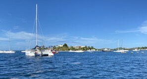 Enjoy waterfront views of sailboats and yachts docked in the marina, surrounded by palm trees and coastal buildings.
