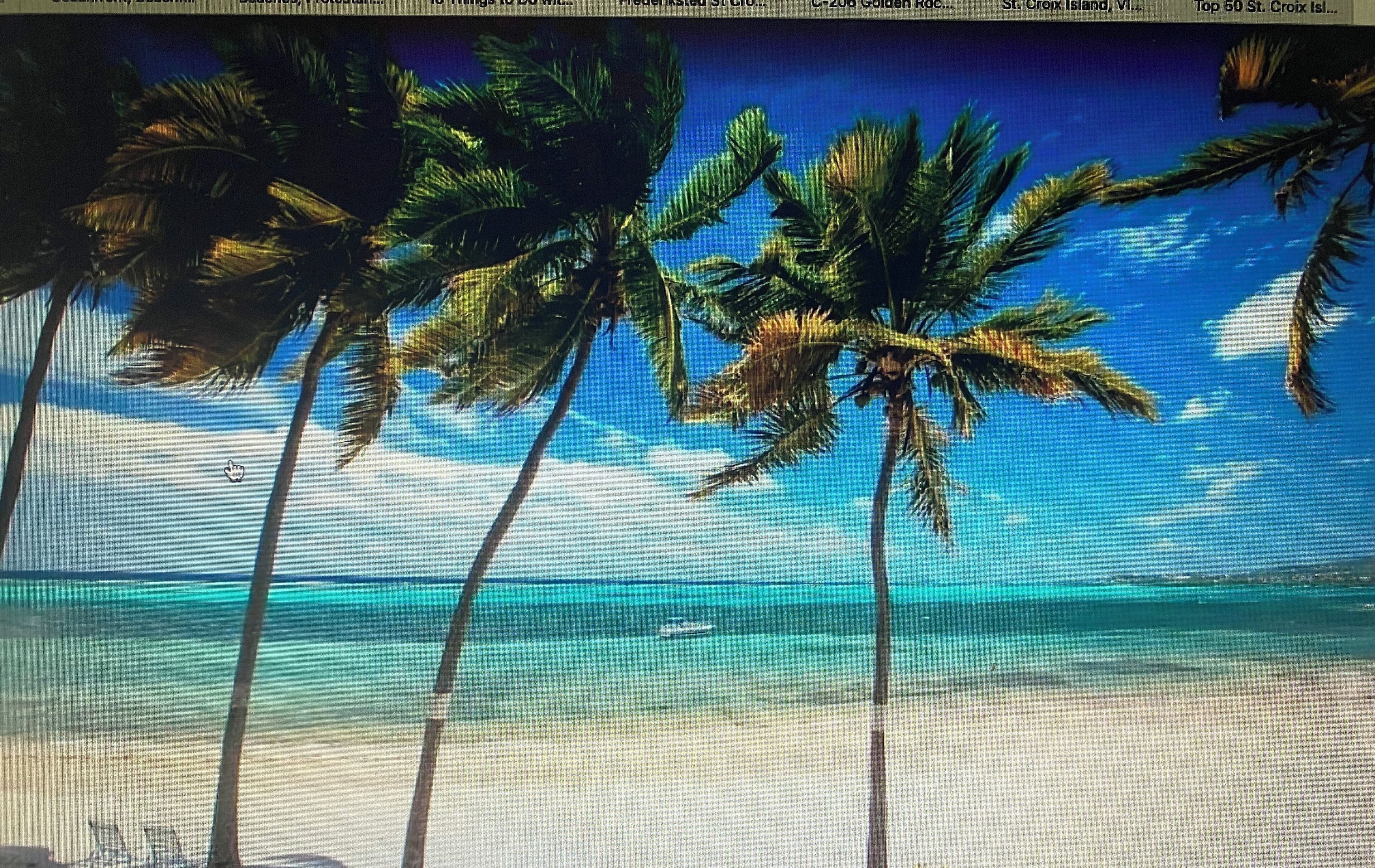 Sun-loungers, beach towels