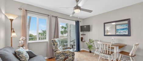 Smart TV, DVD player, books