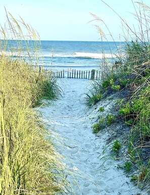 Accommodatie ligt op het strand