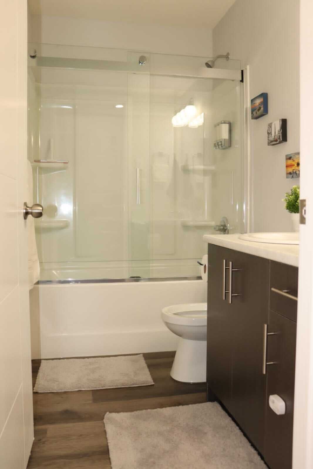 Combined shower/tub, hair dryer, towels, soap