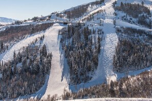 Unclassified image, 4 of 49, button