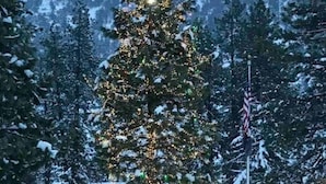 A snow-covered landscape with a decorated Christmas tree, a flag, and a building with a sign. - Cabin Near Ski Resort, EV Charge, Kid/Pet Friendly, Fire Pit, Playhouse (Wrightwood)