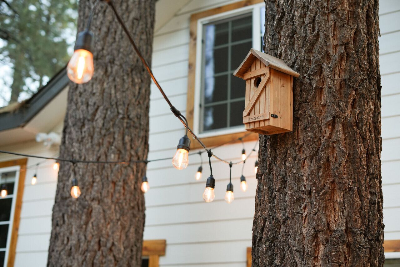 A wooden birdhouse attached to a tree, surrounded by string lights.
