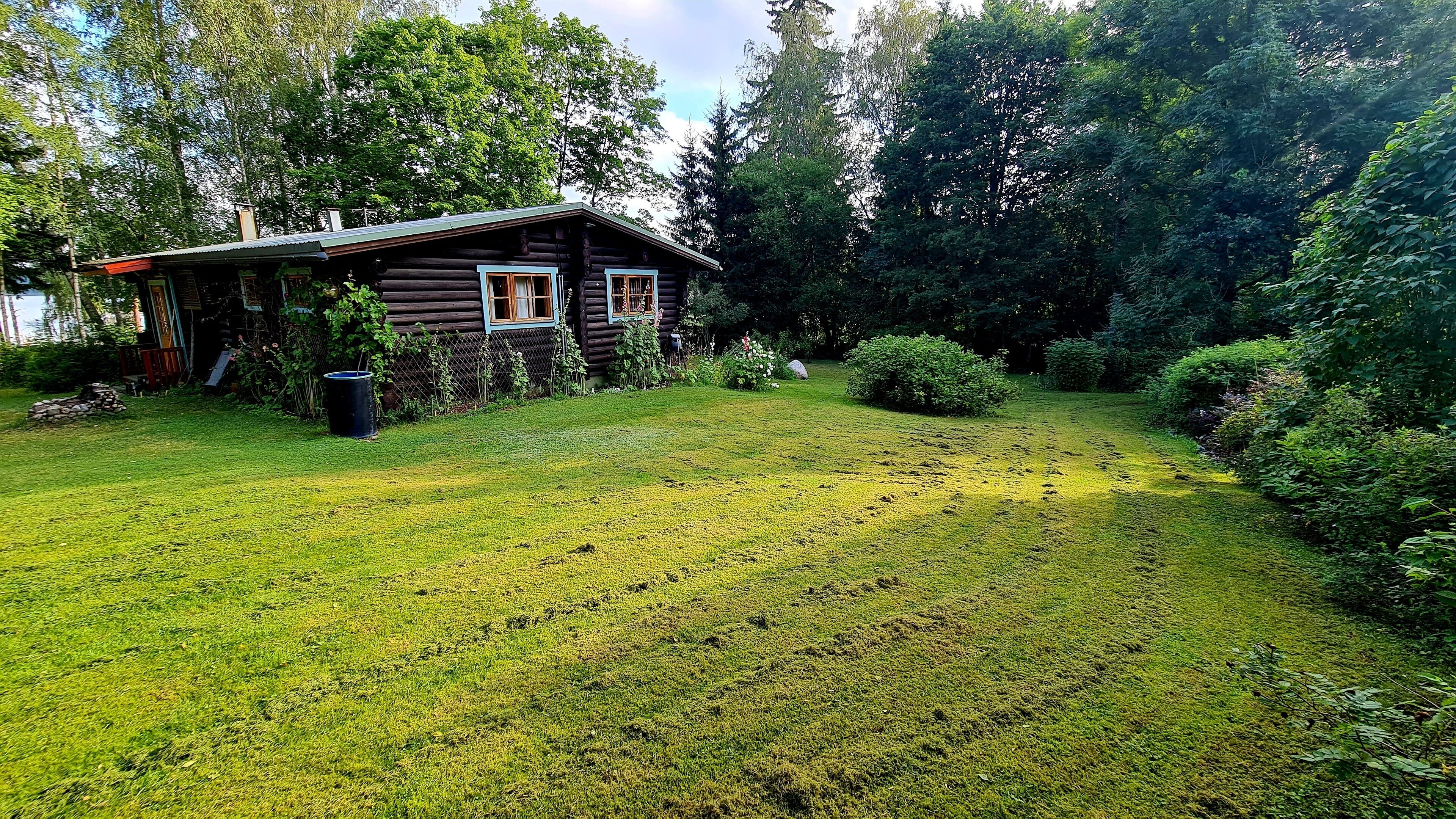 A log cabin with a small porch, surrounded by a grassy yard and dense forest.