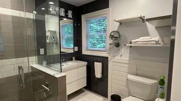 Combined shower/tub, hair dryer, towels, soap